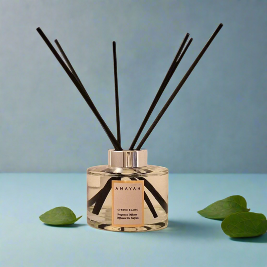 Citrus Blanc Room Diffuser
